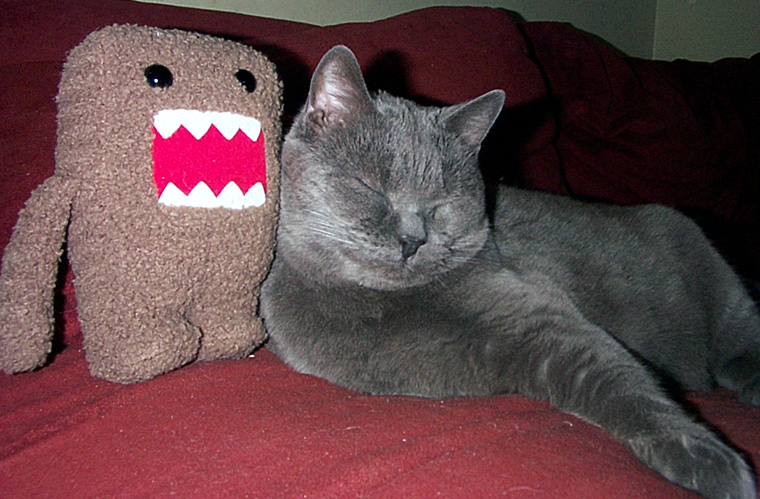 Zilla + Domokun