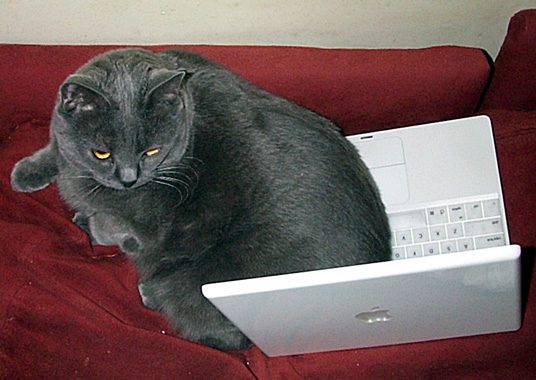 Zilla + iBook #2